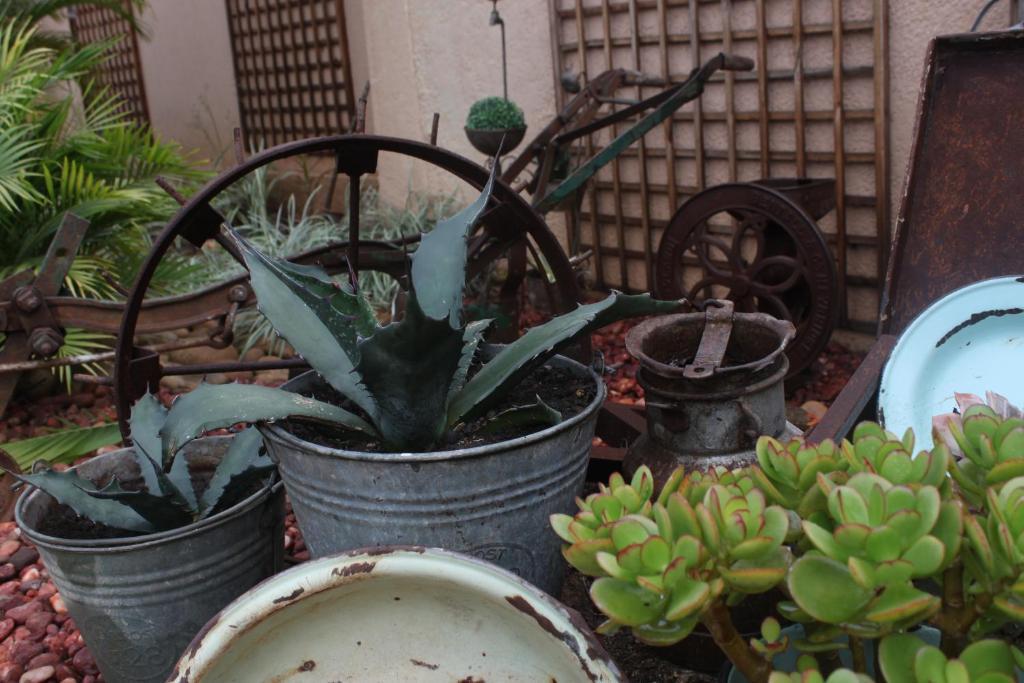 Aber Jetz Guesthouse Pongola Zewnętrze zdjęcie